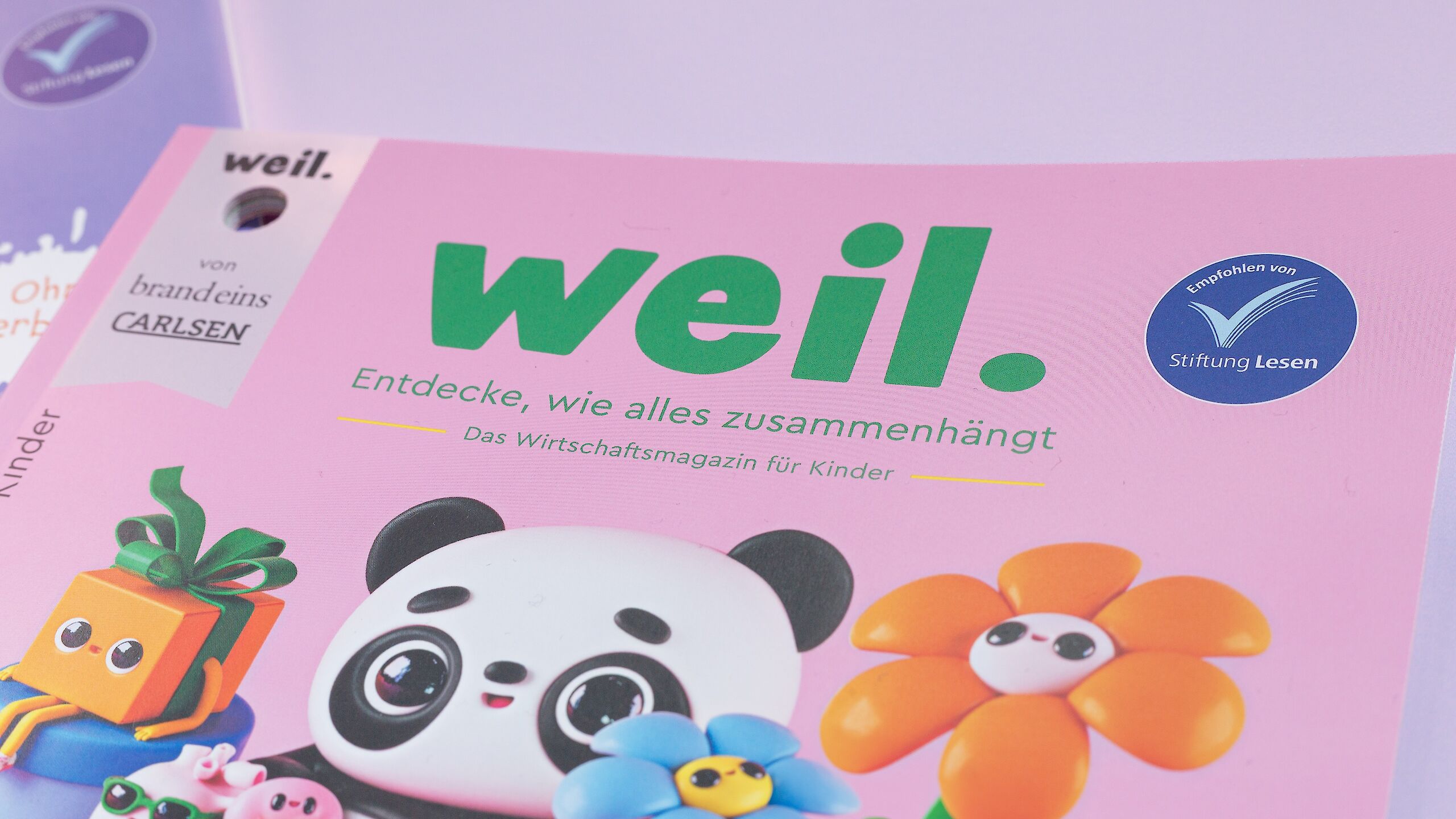 Auf dem Bild ist das Titelbild des Magazins für Kinder „weil.“ zu sehen. Es hat einen rosa Hintergrund und zeigt einen Panda, bunte Blumen und ein Geschenk. Der Untertitel lautet „Entdecke, wie alles zusammenhängt“.